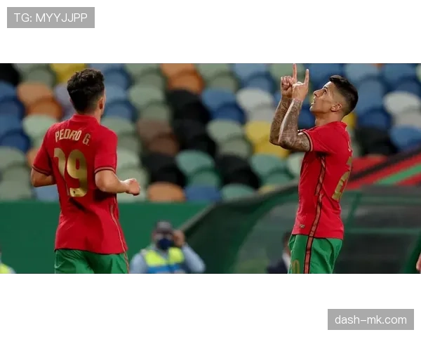 坎塞洛葡萄牙国家队